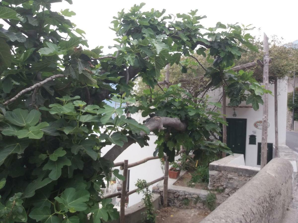Casa Rosetta Villa Праяно Екстериор снимка